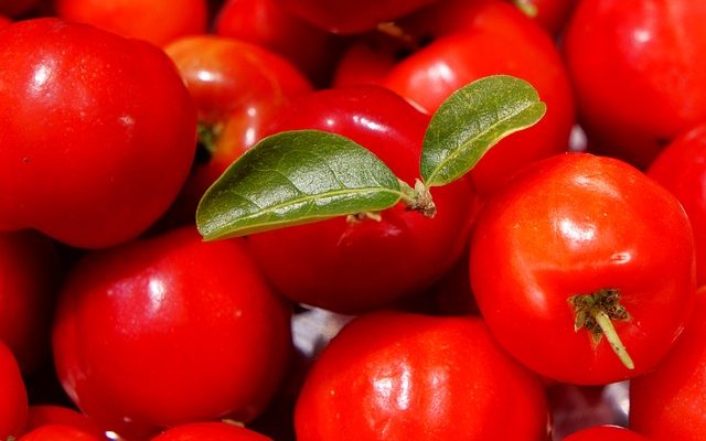 Pourquoi prendre de l’acerola ?