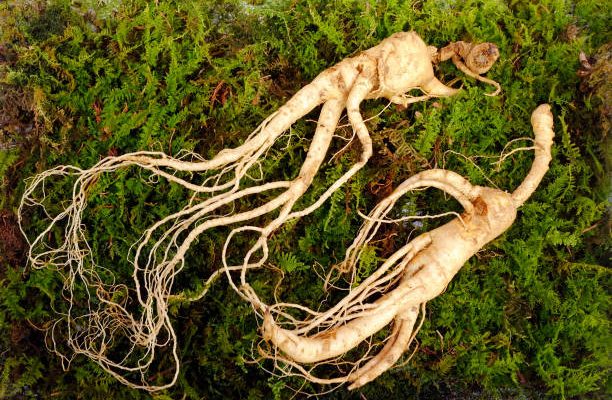 Quelles vitamines dans le ginseng ?